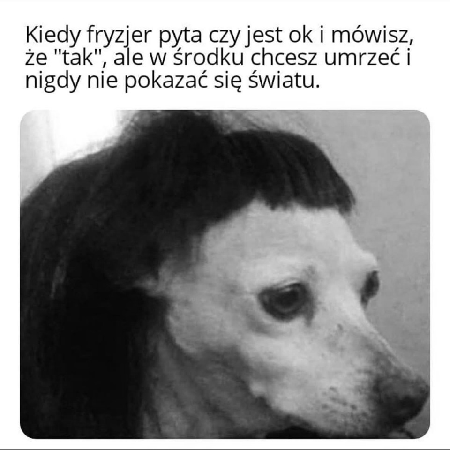 Kiedy fryzjer pyta czy jest ok